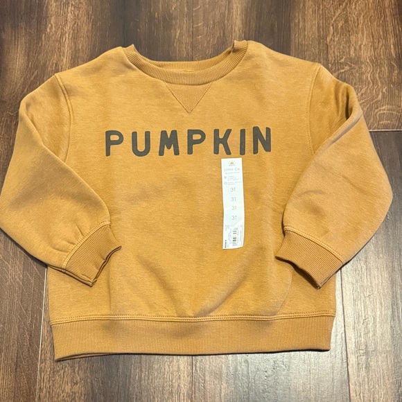 Little Co. By Lauren Conrad Other - Little Co, by Lauren Conrad Pumpkin Graphic Kids Crew Pullover Sweatshirt NWT